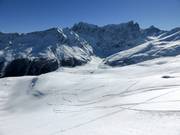 Ungroomed freeride slopes