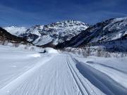 Trail to the terminus of the Morteratsch Glacier