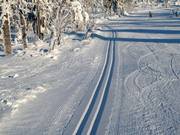 Trail on the Fichtelberg