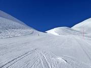 Intermediate slope Tiarms