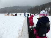 Conveyor belt and rope lift provide access to very gentle slopes in Hirschzwergland.