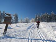 Connecting trail from Ettelsberg to Hochheideloipe