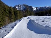 Wave run at the Dreitannenlift