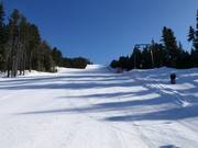 Slope at the Palancana drag lift