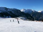 Beginner slope at the mid-station at the Hahntennenlift