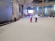 Practice slope with conveyor belt