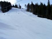 Challenging FIS standard slope - Kohlerhang