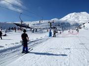 Alpine Meadow Platter - J-bar