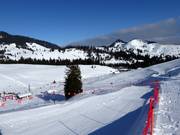 Freeridecross course