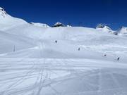 Excellent slope grooming