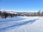Easy slope in Ramundberget