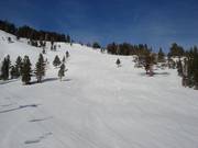 Wide slopes at the Sherwood Express