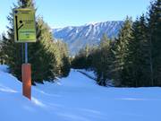 Black ski run to Bischofswiesen (No connection to lift)