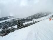 View of the Freeride Zone Chopok South