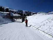 Maulwurf - Rope tow/baby lift with low rope tow