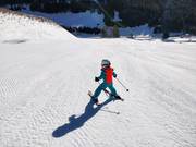 Perfectly groomed slope