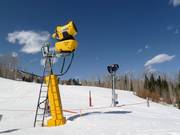 Snow cannons in Snowmass