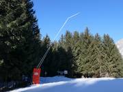 Snowmaking in the Cima Piazzi ski area