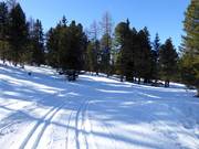 High-altitude cross-country trail at the mountain station of the 10-seater gondola