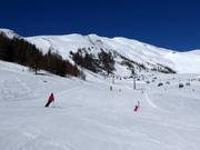 Slopes at the Speiereck-Gipfelbahn