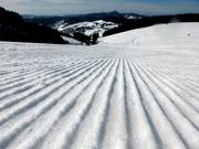 Freshly groomed Panorama run