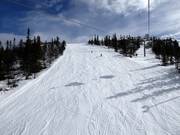 Intermediate slope Väst