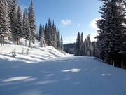 Very easy slope in the SilverStar ski resort