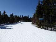 A nearly 5 km (3 mile) long easy slope starts from Barker Mountain.