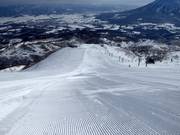 Difficult slope Dynamic (Grand Hirafu)