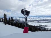 Snow cannon in the Jackson Hole ski area