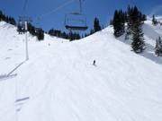 Very good slope grooming