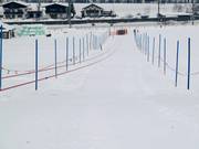 Übungslift Eichenhof II - Rope tow/baby lift with low rope tow