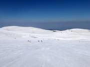 Slope Laleto lesna 3