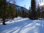 Trail in Bayrischzell