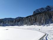 FIS lake cross-country trail