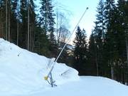 Complete snowmaking throughout the ski area