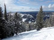 Downhill Lost Warrior