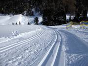Cross-country ski trails in Vent