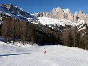 Easy slope Ciampedie - Pian Pecei