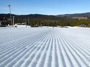 Perfect slope grooming in Nesfjellet