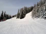 Sport and Family Run