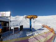 Sass Runzöl - T-bar