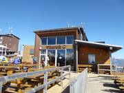 Gastronomy tip Restaurant Viharnik