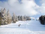 The runs in the upper area: to the left, evenly sloped; to the right, initially a bit steeper