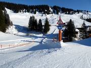 Information on the slopes