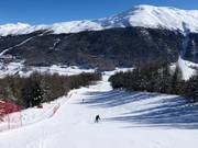Slope at the Carosello 3000 gondola