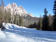 Slope No. 68 Scoiattolo