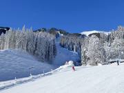 The challenging Trass run