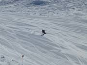 Carving dreams come true!