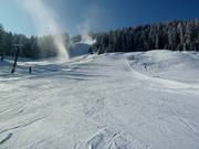Practice lift mountain station Dorfbahn